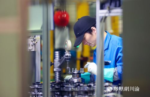 長江軸承 以技術硬實力撬動全球市場縫隙，打造國際化品牌新標桿